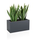 Designerska donica MONUMO LUNGO Antracytowa MONUMO