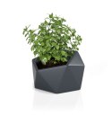 Designerska donica MONUMO VESARI Antracytowa MONUMO