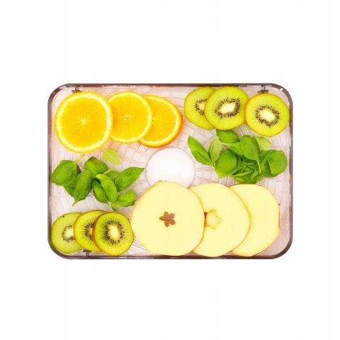 DUŻA Suszarka do grzybów owoców warzyw IDEAL INOX + termoobieg 400W + timer IDEAL