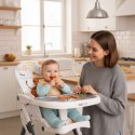 Fotelik krzesełko do karmienia dzieci składane + zabawki ECOTOYS ModernHome