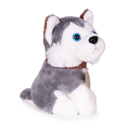 Pluszowy piesek w torebce husky maskotka dla dziecka + szczotka do pielęgnacji MULTISTORE