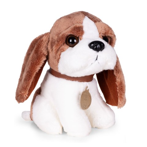 Pluszowy piesek w torebce beagle maskotka dla dziecka + szczotka do pielęgnacji MULTISTORE