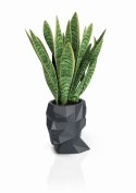 Designerska donica MONUMO ADONIS Antracyt MONUMO