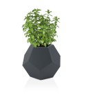 Designerska donica MONUMO ALMA Antracyt MONUMO