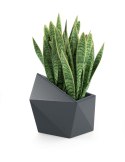 Designerska donica MONUMO ASTRO Antracyt MONUMO