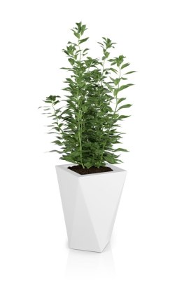 Designerska donica MONUMO VASO Biała MONUMO