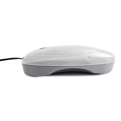 Magnetyczna lampa basenowa różne kolory LED INTEX 28698 INTEX Magnetyczna lampa basenowa różne kolory LED INTEX 28698 INTEX