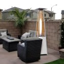 Ogrzewacz parasol gazowy grzejnik 13 kW srebrny szklany na ogród patio reduktor wąż pokrowiec MultiGarden MultiGarden