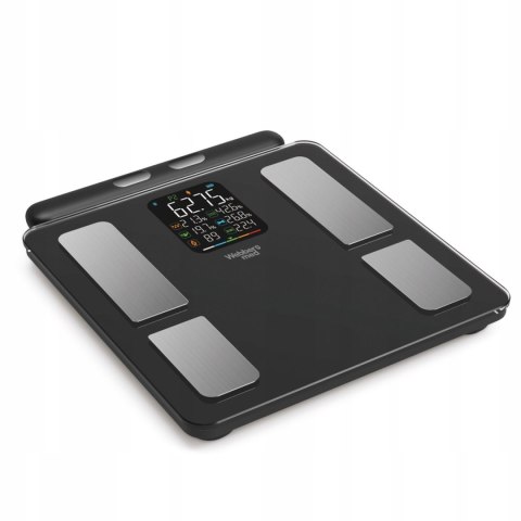 Waga łazienkowa analityczna 15 parametrów Apple Health Google Fit SCALA WEBBER WEBBER Waga łazienkowa analityczna 15 parametrów Apple Health Google Fit SCALA WEBBER WEBBER