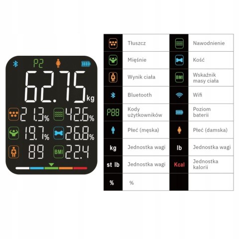 Waga łazienkowa analityczna 15 parametrów Apple Health Google Fit SCALA WEBBER WEBBER Waga łazienkowa analityczna 15 parametrów Apple Health Google Fit SCALA WEBBER WEBBER