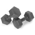 Hantle sześciokątne zestaw 2x2 kg ciężarki do ćwiczeń obciążniki fitness szare ModernHome ModernHome
