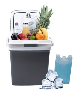 Lodówka turystyczna przenośna samochodowa 29L 220-240V DC12V funkcja grzania wkład gratis grafitowa LONGWELL INDUSTRIAL LTD