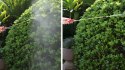 Opryskiwacz ciśnieniowy 5L ogrodowy ręczny 2.2-2.5 bar długa lanca pompa tłokowa MultiGarden MultiGarden