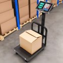 Waga elektroniczna 200 kg magazynowa sklepowa platformowa towarowa przemysłowa LCD LONGWELL INDUSTRIAL LTD