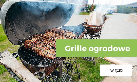 w ogrodzie